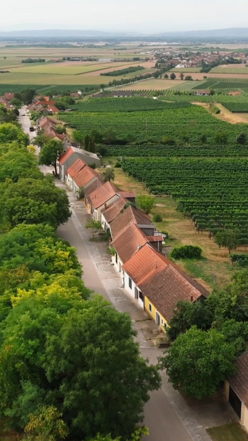 Weinviertel