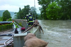 Bundesländerübergreifende Übung „Donauhochwasser“