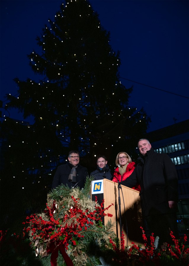 Landhaus-Christbaum der NÖ Landarbeiterkammer illuminiert
