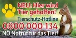NÖ Tierschutz-Hotline